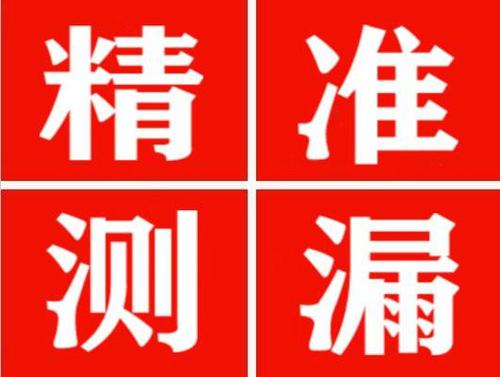 相山尚嘉漏水精准查找